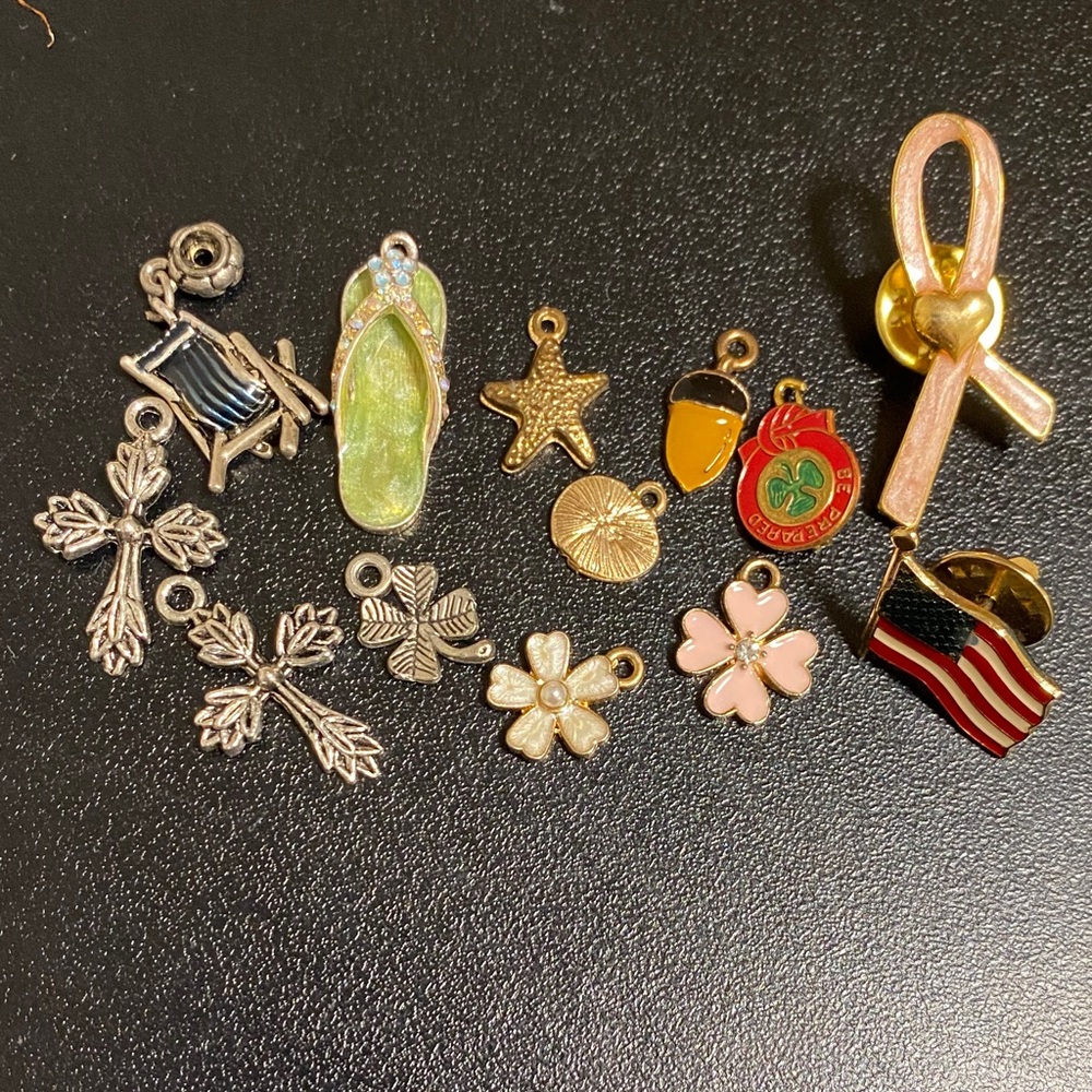 Assorted Gold and Silver Charms/Pins